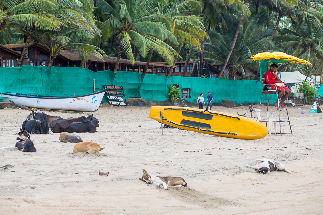 goa-india-182